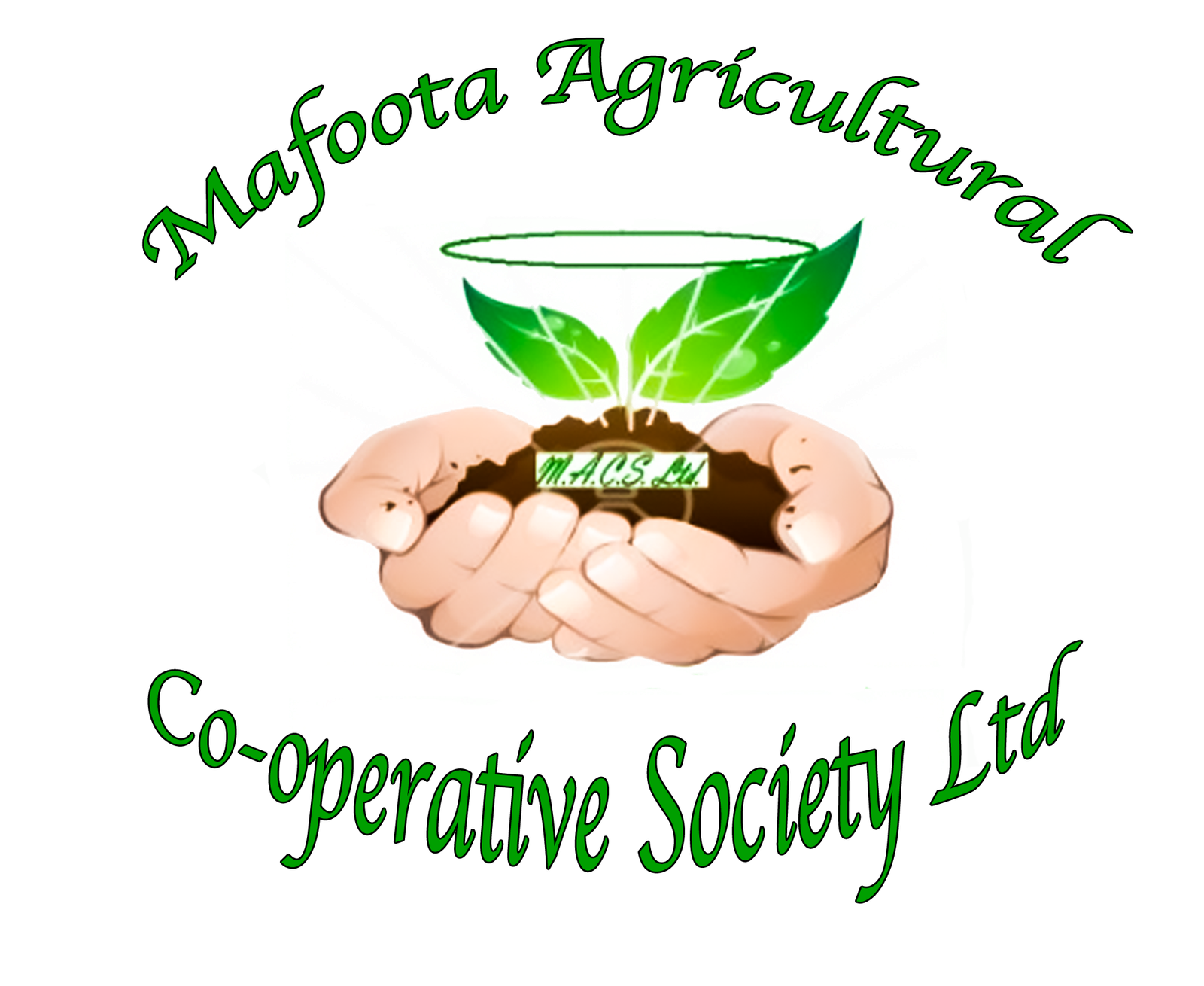 Mafoota Logo